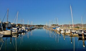 A scenic view of sailboats docked at the Small Boat Harbor in the San Francisco Marina District.