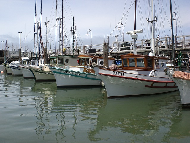 Fisherman's Wharf historic fishing fleet 