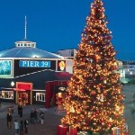 PIER 39 Holiday Tree with nightly tree lighting shows