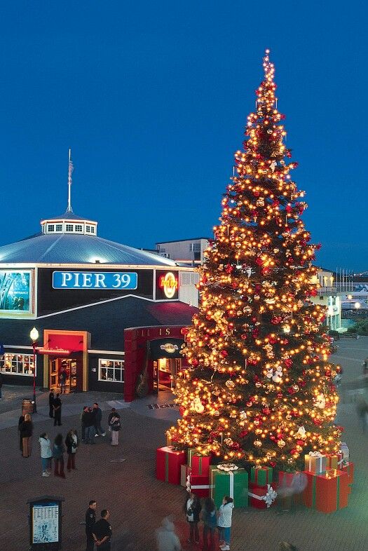 Pier's Christmas tree