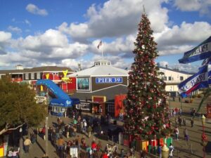 The PIER 39 Christmas Tree featuring nightly holiday light shows and waterfront views in San Francisco.