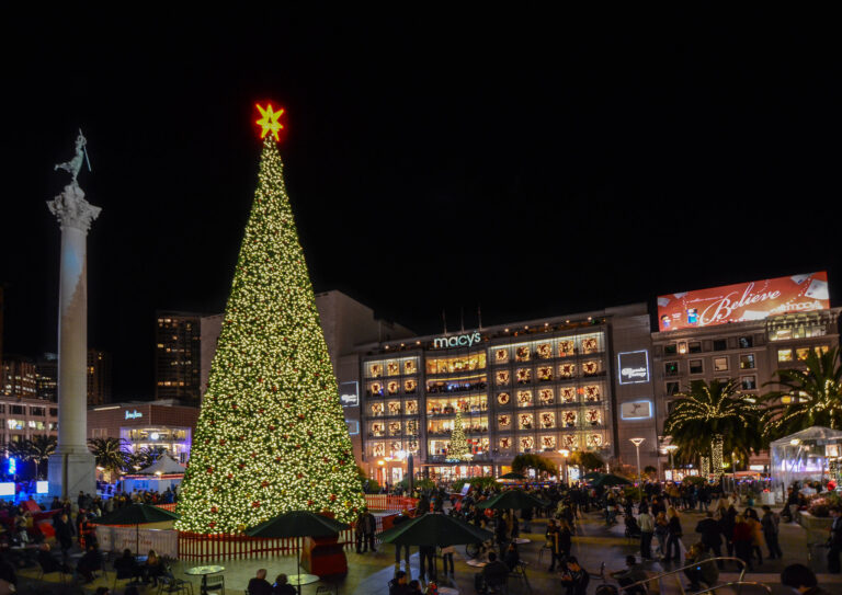 Union Square Christmas Tree, Ice Skating Rink and more